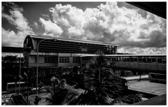 monochrome