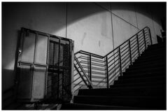 monochrome