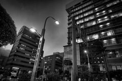 monochrome