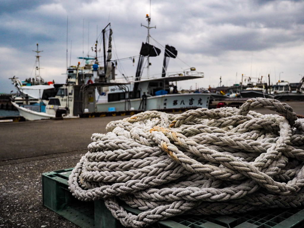 E-M10 Mark II