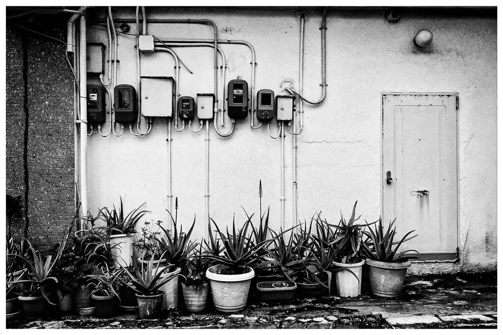 monochrome