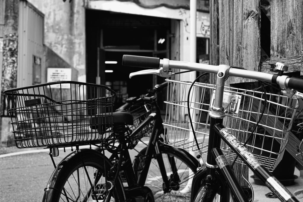 RICOH XR RIKENON 50mm F2 X　 α7S