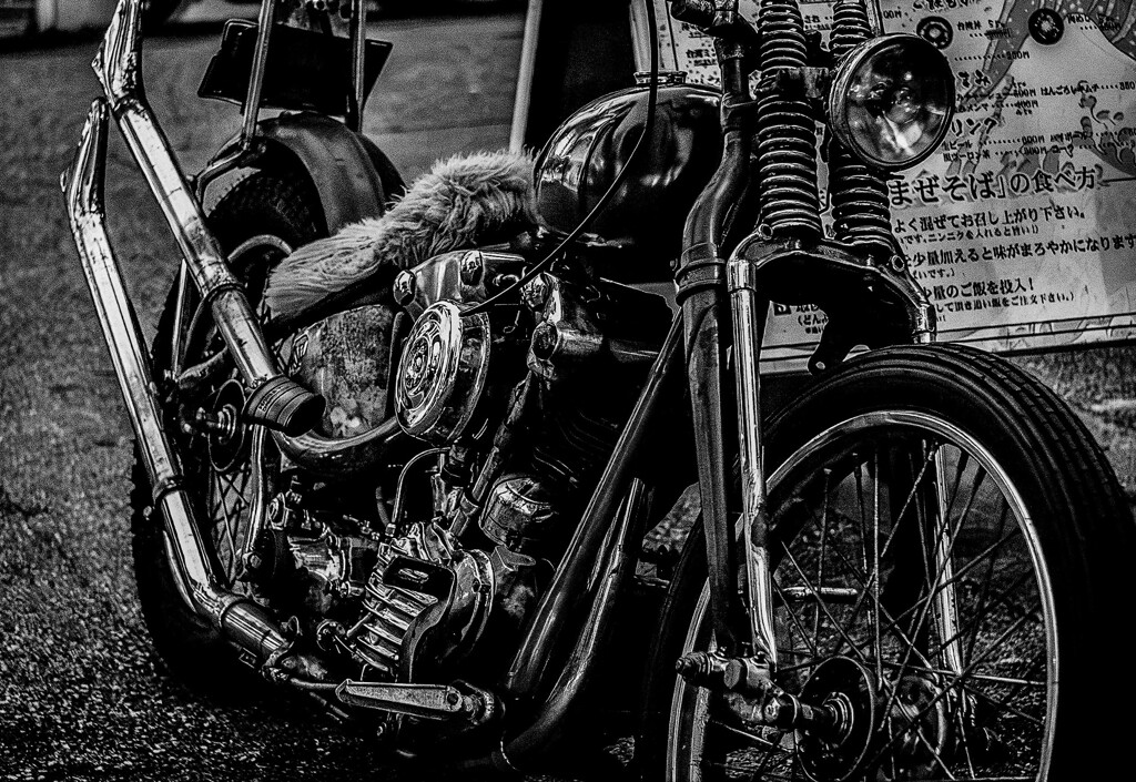 monochrome