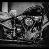 monochrome