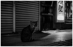 monochrome