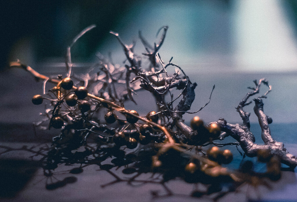 夜景