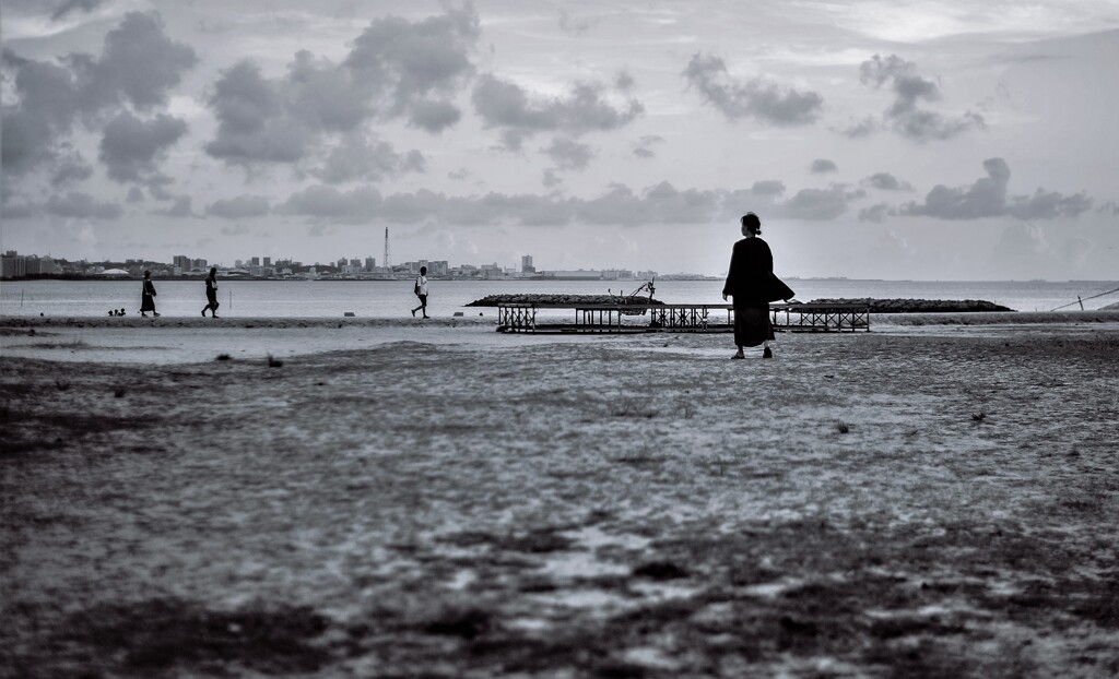 monochrome