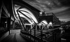 monochrome