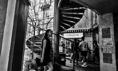 monochrome