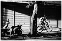 monochrome