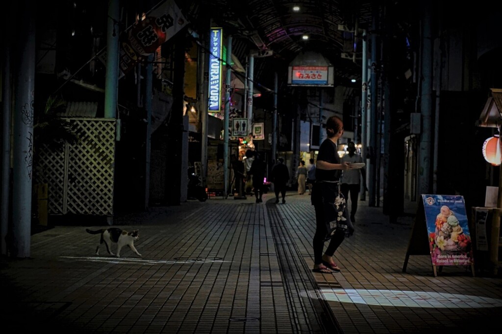 夜景