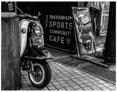 monochrome