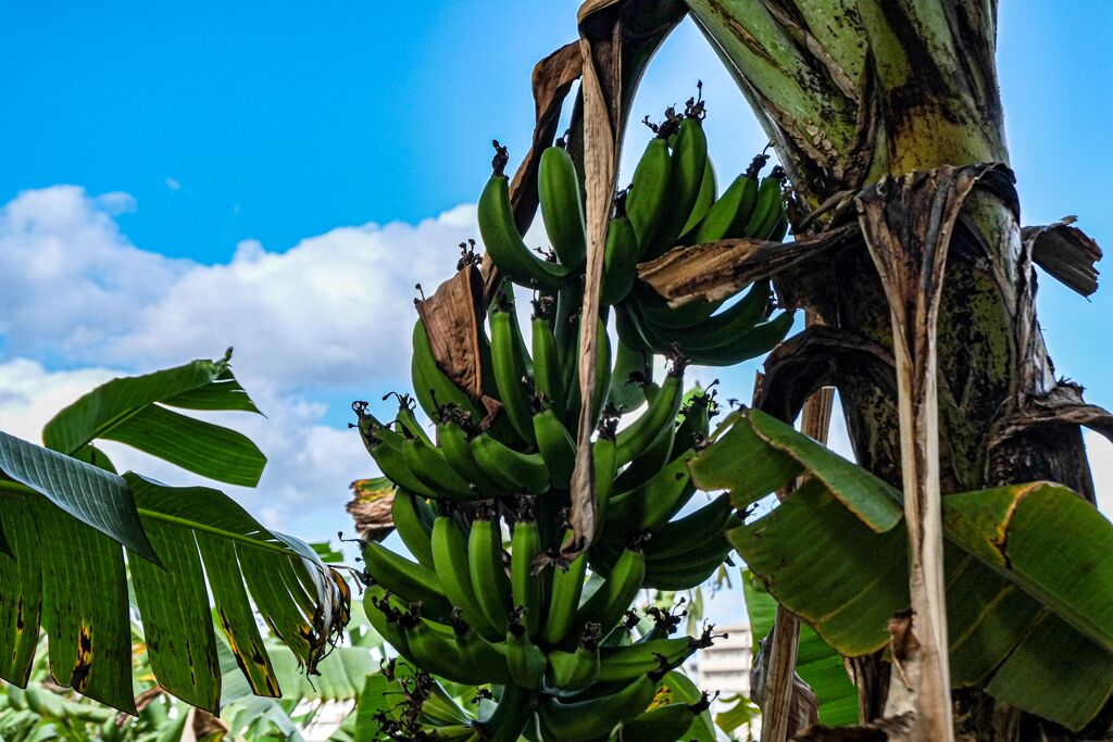 家から５分以内にあるもの