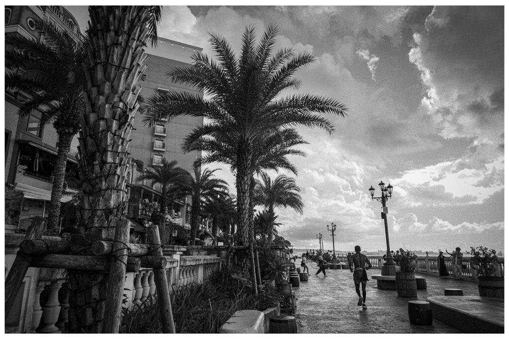 monochrome