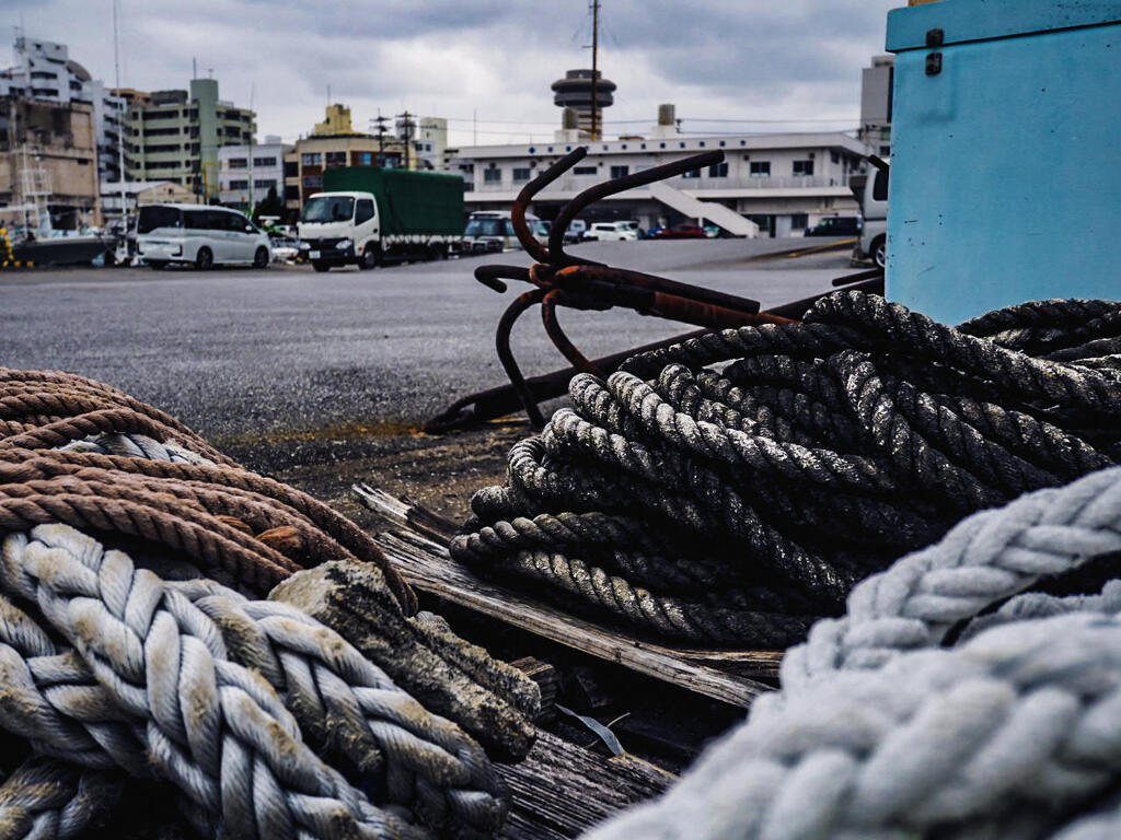 E-M10 Mark II