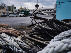 E-M10 Mark II