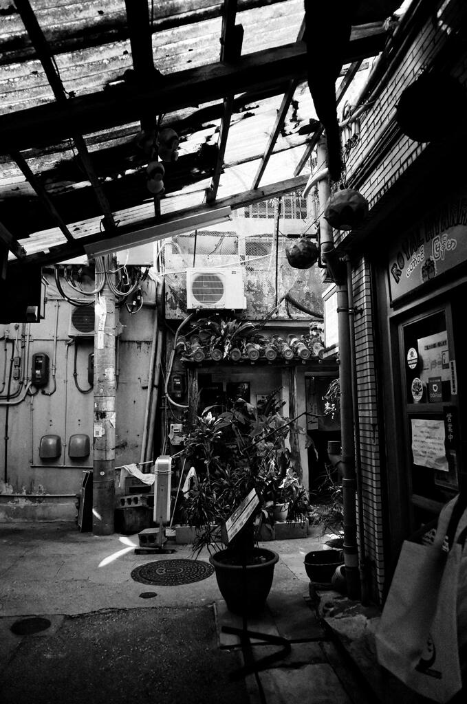 NEX-6　モノクローム