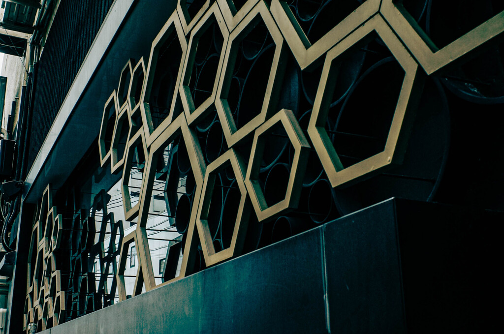 NEX-6