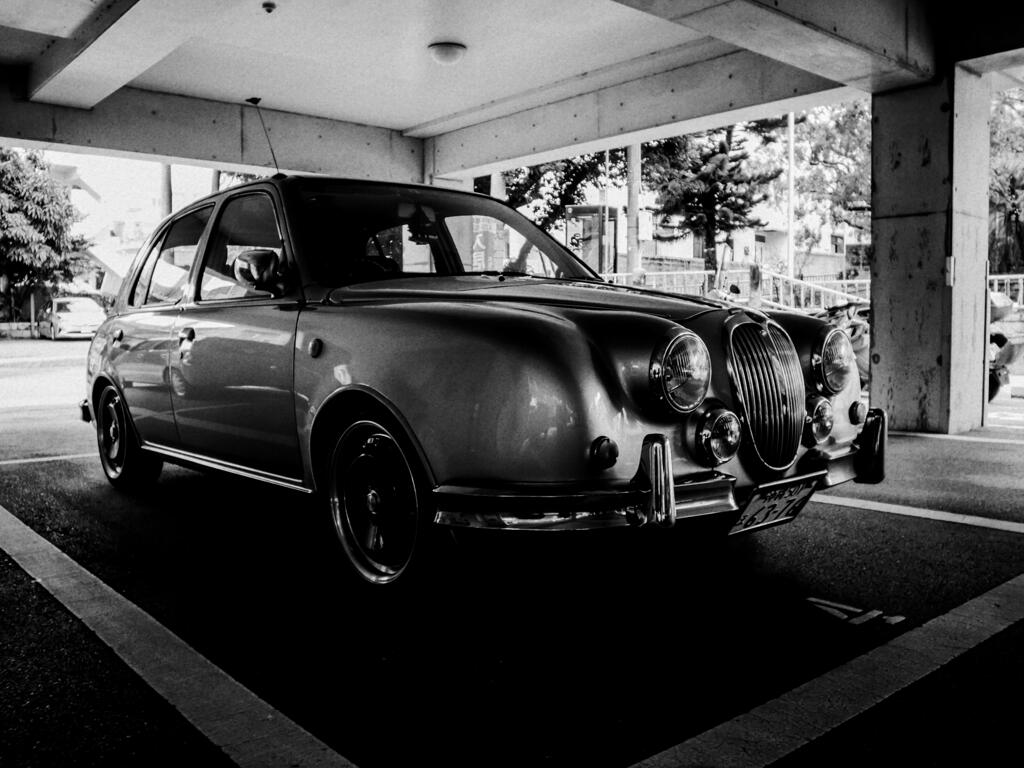 写るんですよ。