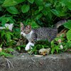 D80の色がすきです。