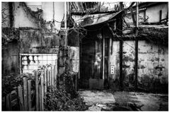 monochrome