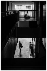 monochrome