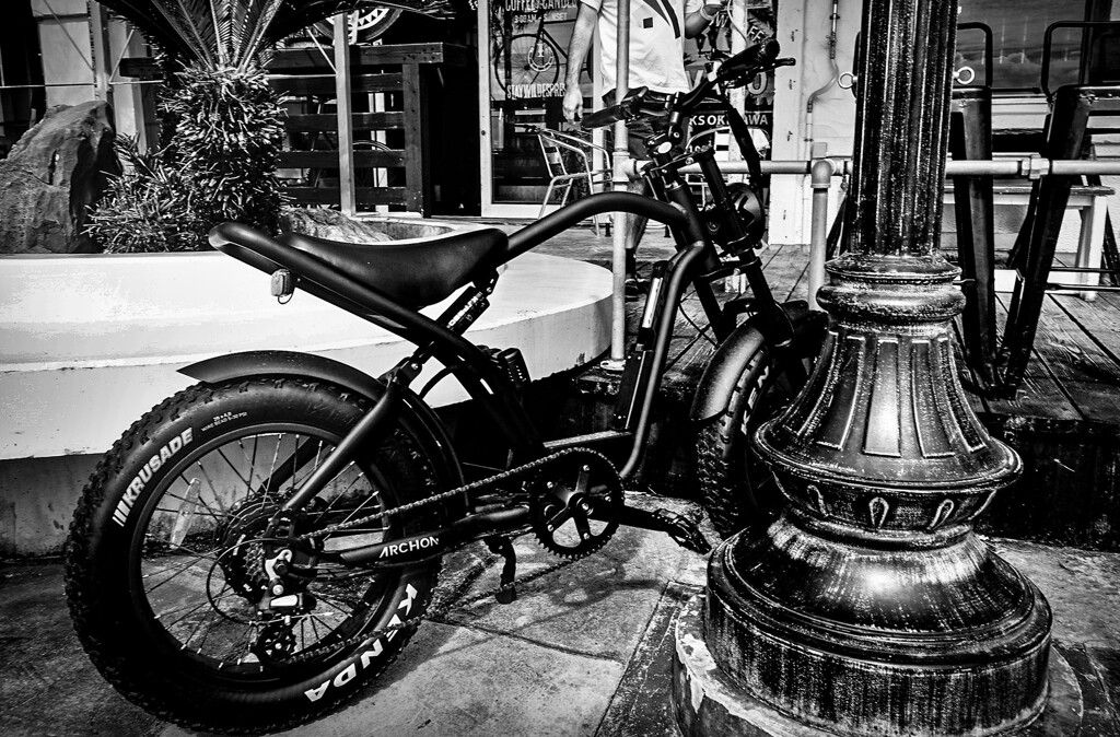 monochrome