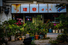 NEX6