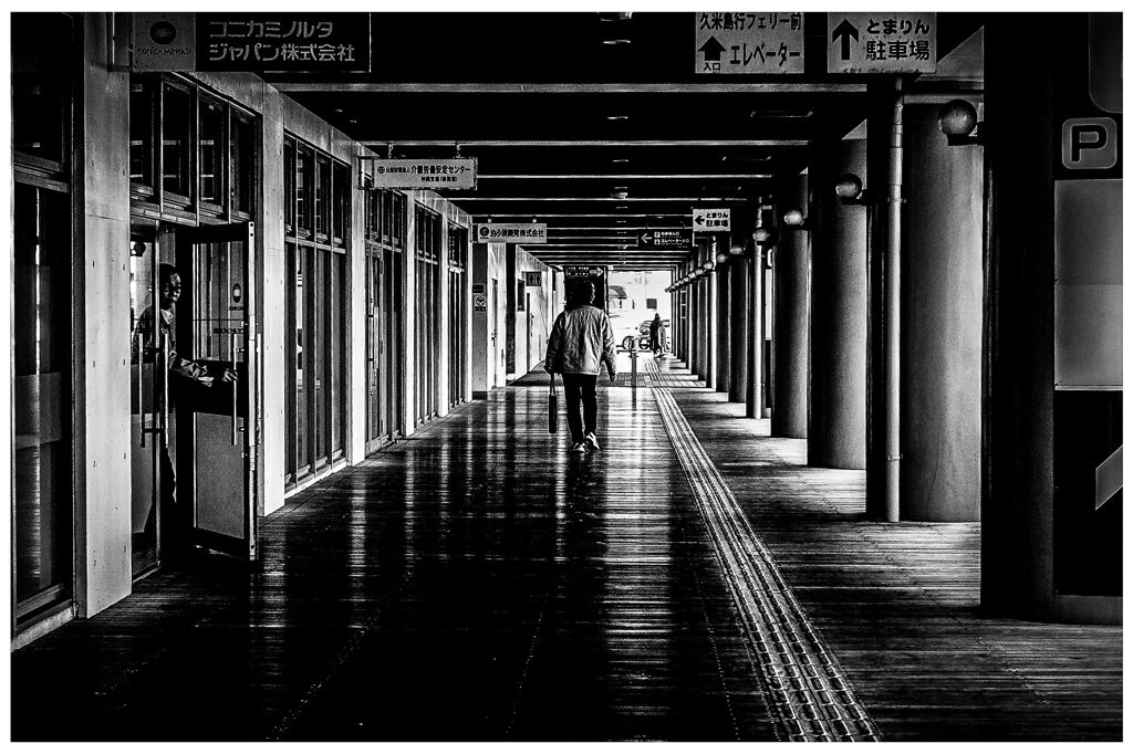 monochrome