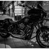 monochrome