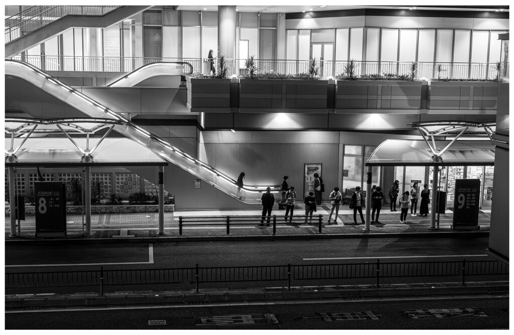 monochrome