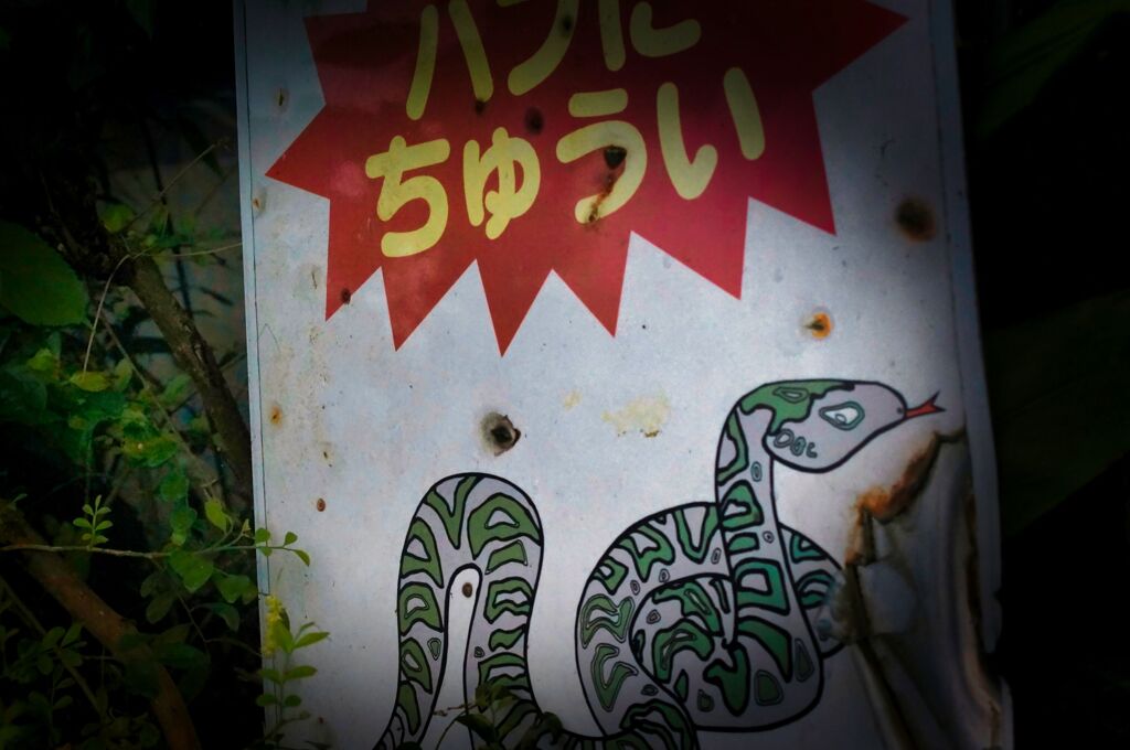 家から５分以内にあるもの撮る