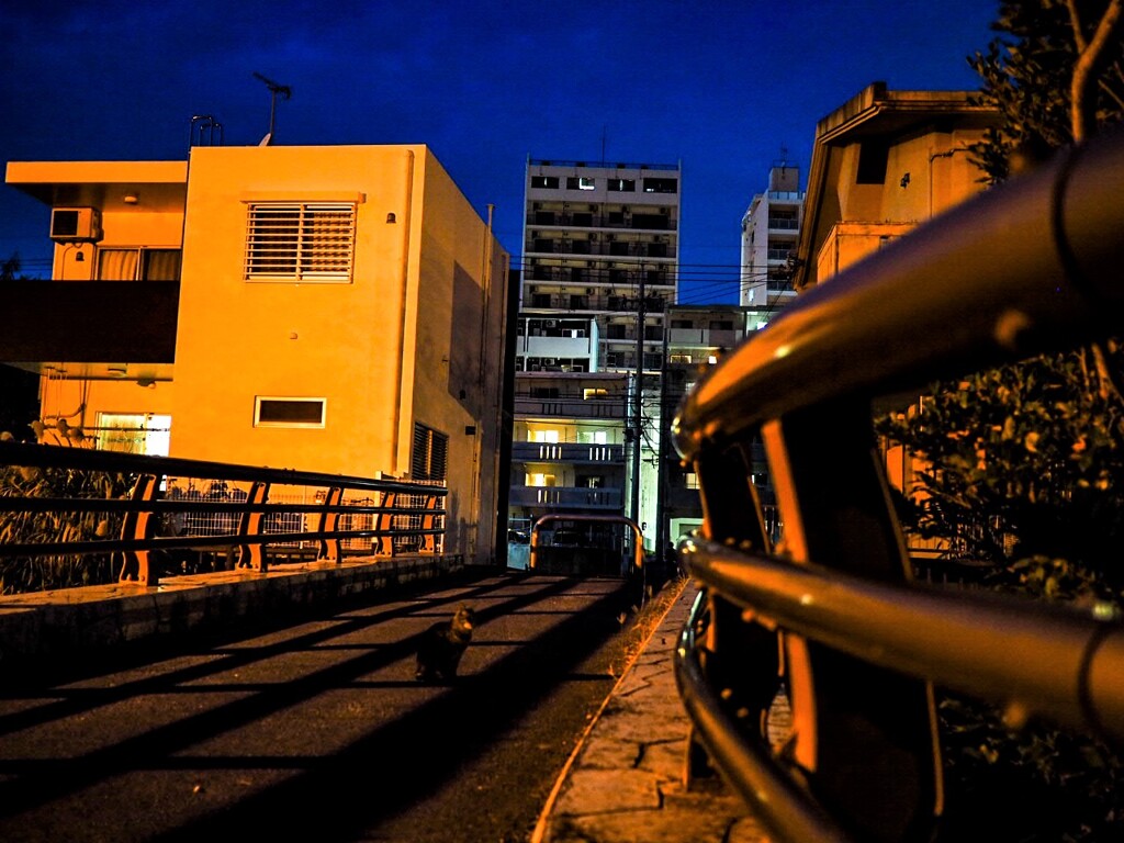 夜景
