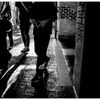 monochrome