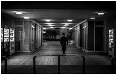monochrome