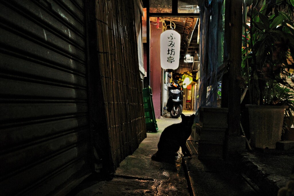 夜景