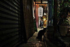 夜景