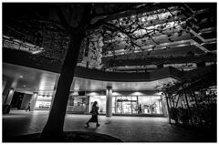 monochrome