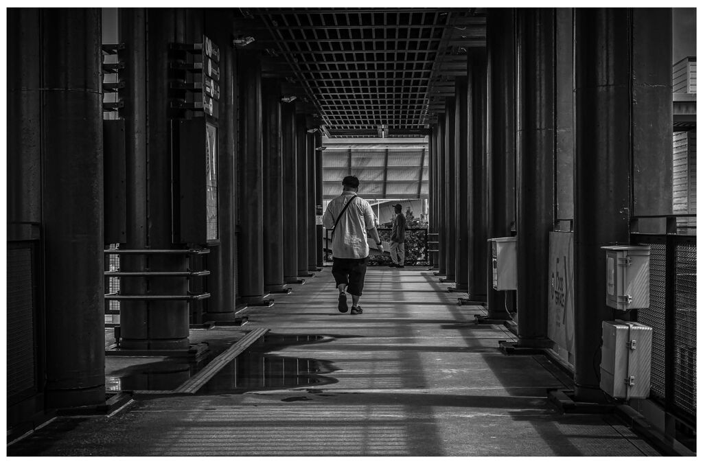 monochrome