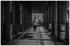 monochrome