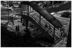 monochrome