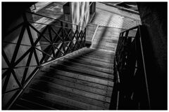 monochrome