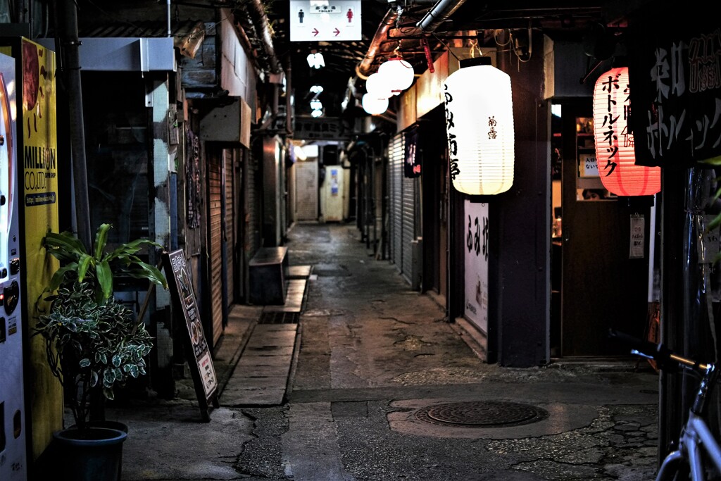 夜景