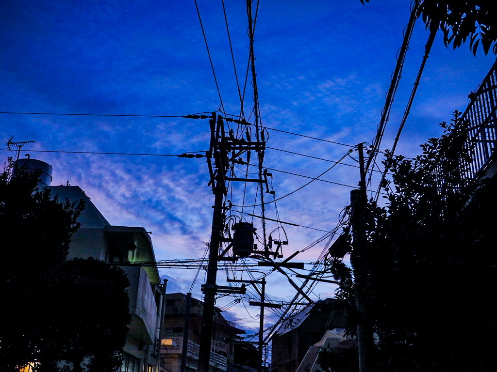 夜景