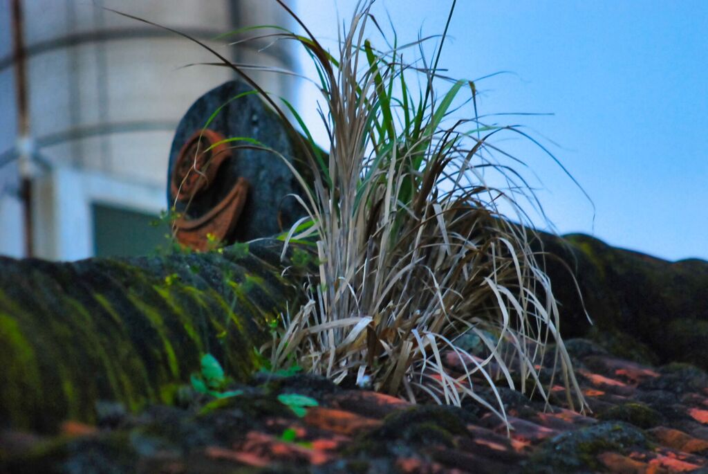 家から５分以内にあるもの