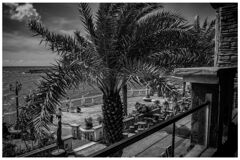 monochrome