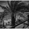 monochrome