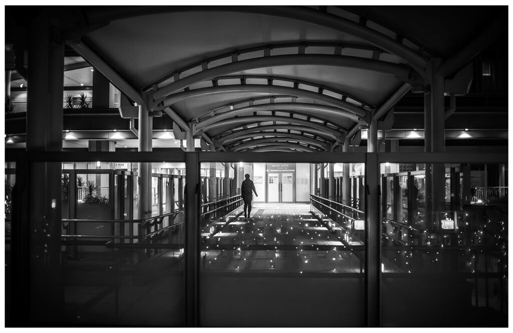 monochrome