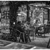 monochrome