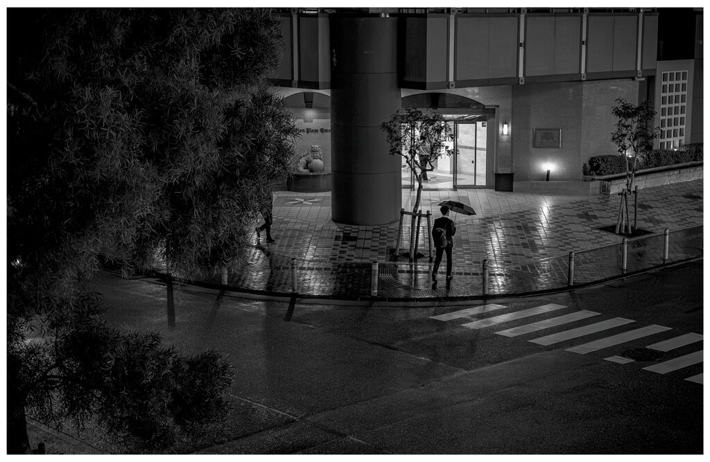 monochrome